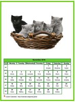 November 2019 calendar of serie 'cats'