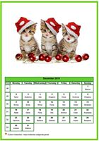 December 2019 calendar of serie 'Cats'