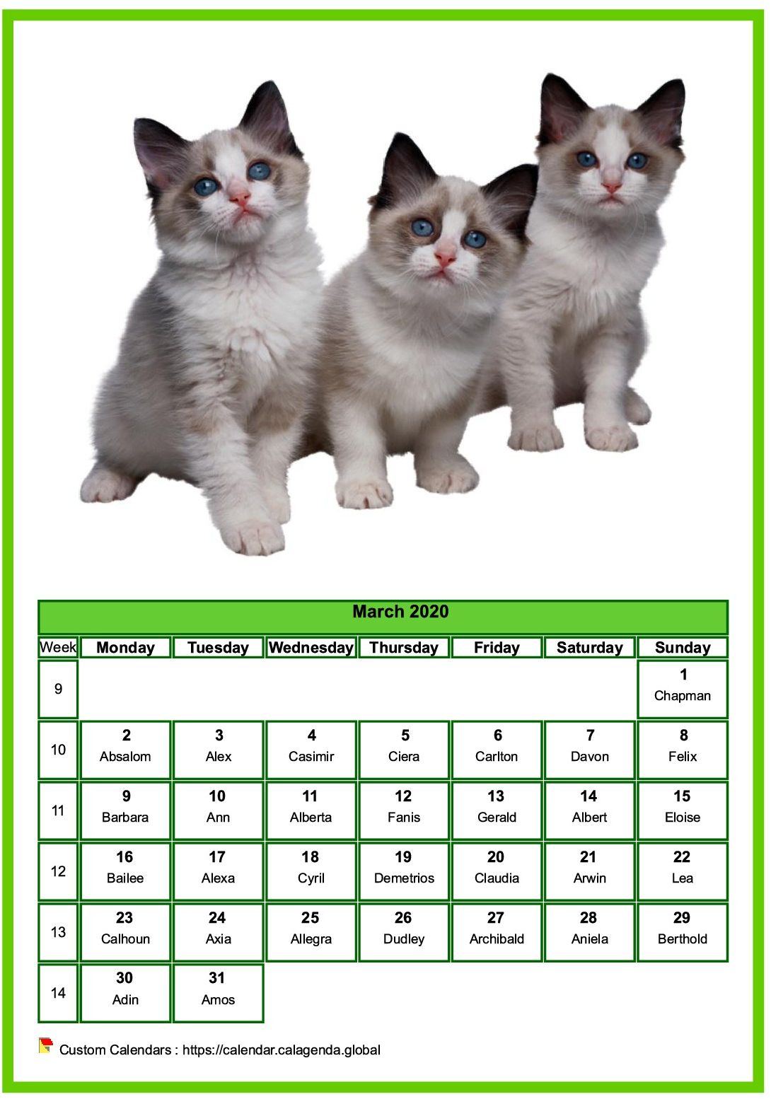 Calendar March 2020 cats
