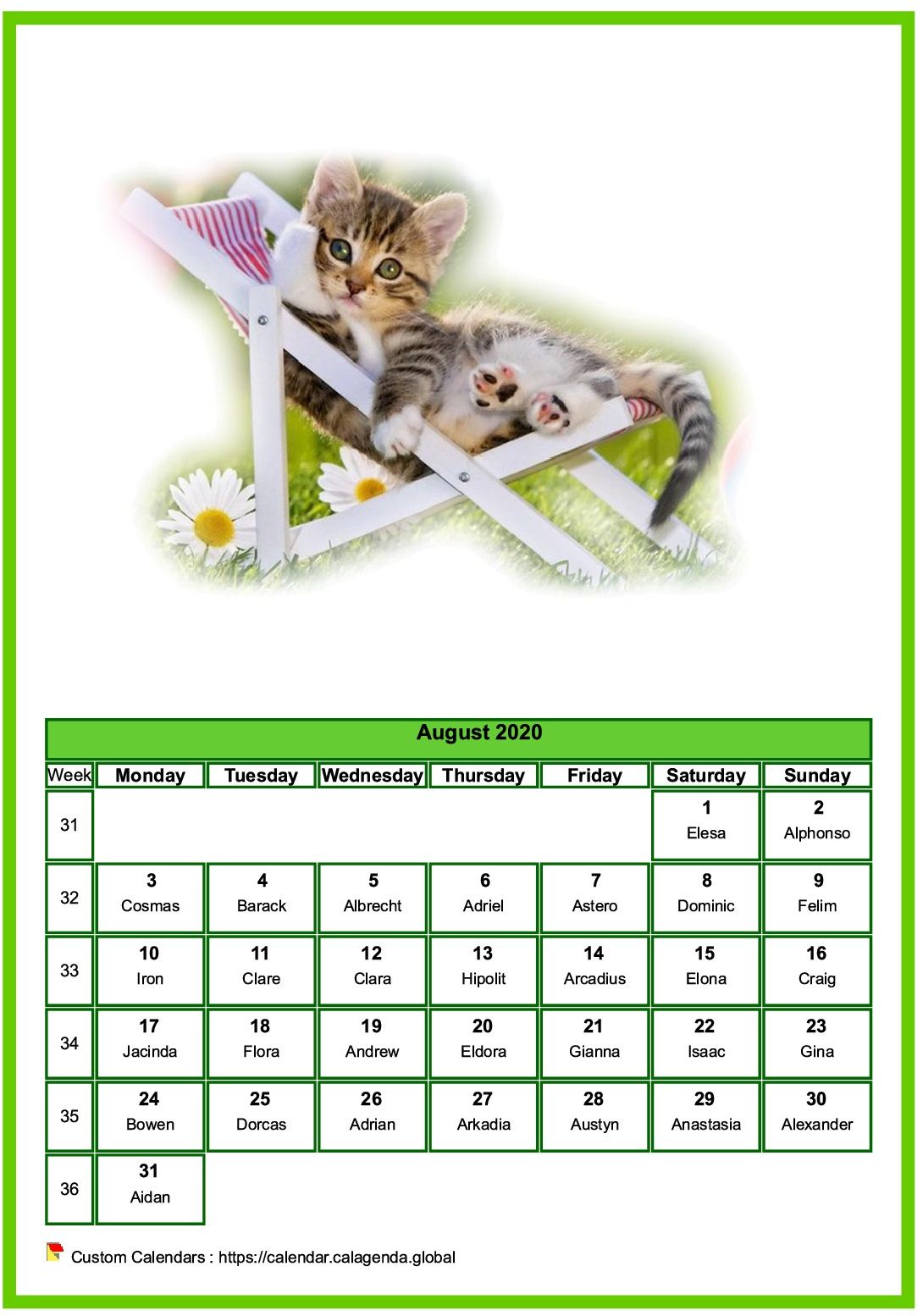 Calendar August 2020 cats