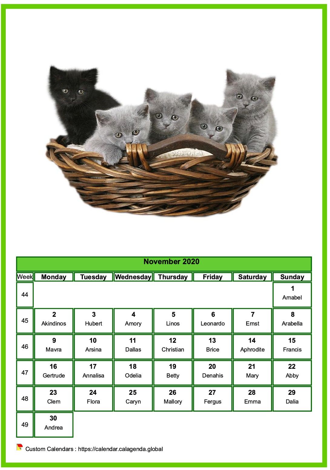 Calendar November 2020 cats
