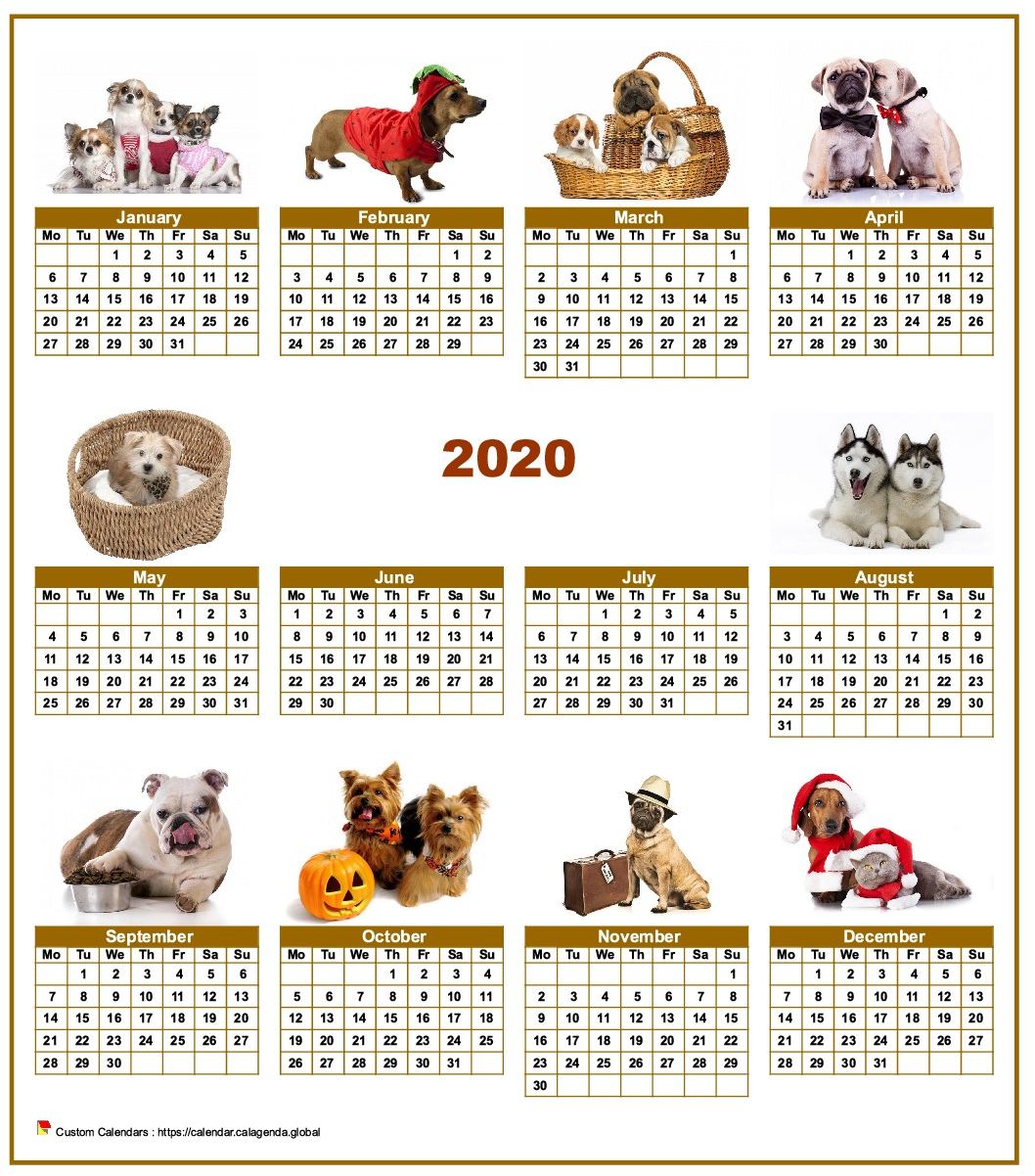 Calendar 2020 annual special 'dogs ' with 10 photos