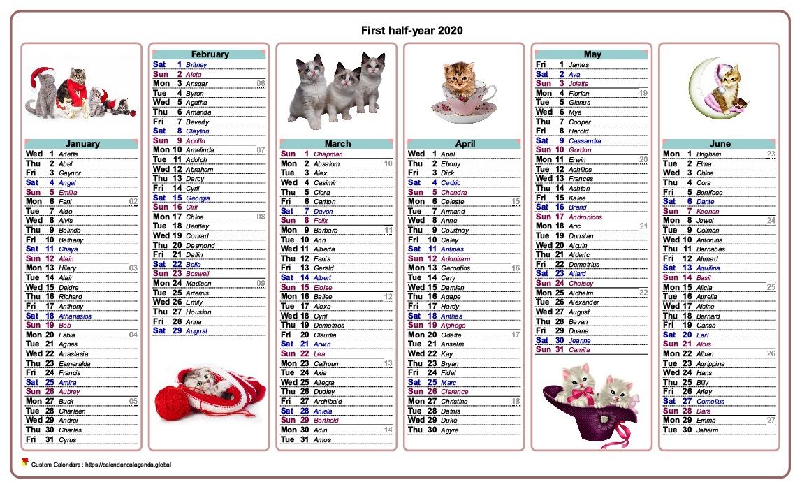Calendar 2020 half-year cats