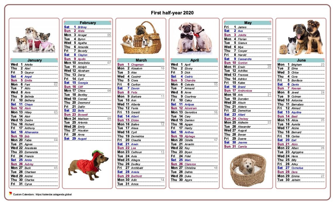 Calendar 2020 half-year dogs