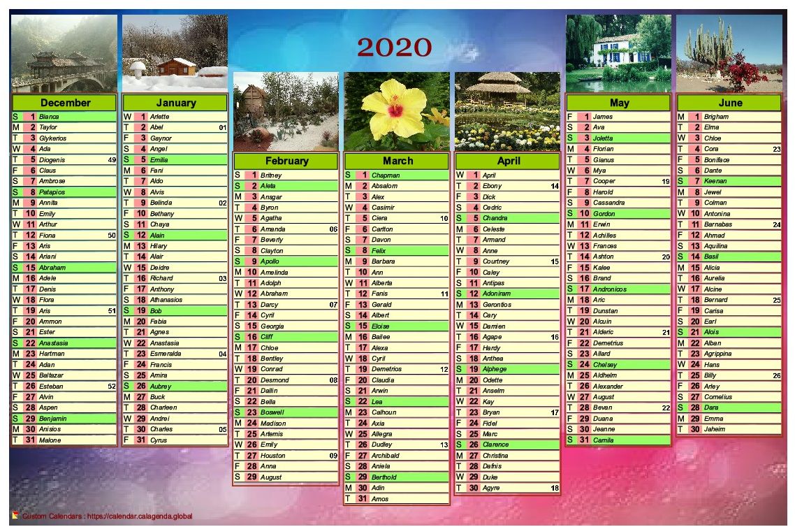 Calendar 2020 of seven months with photos