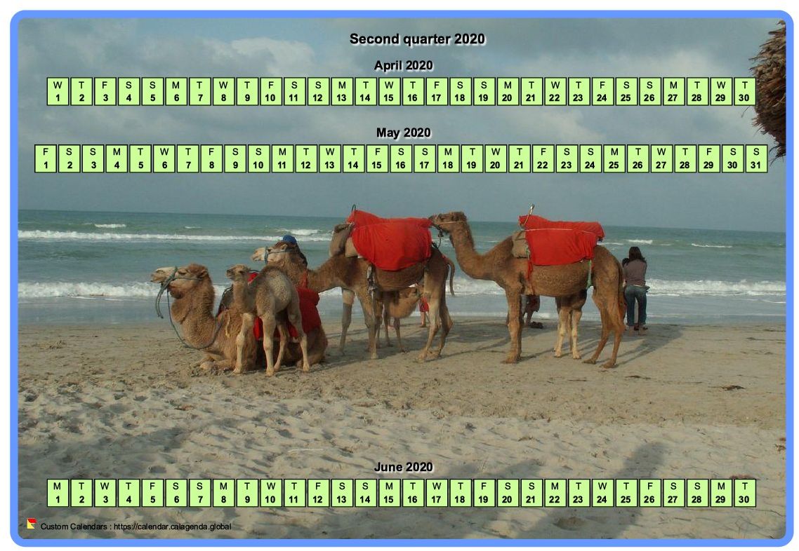Calendar 2020 quarterly horizontal with a photo in calendar background