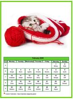 February 2020 calendar of serie 'Cats'