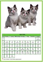 March 2020 calendar of serie 'Cats'