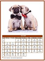 April 2020 calendar of serie 'dogs'
