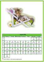 August 2020 calendar of serie 'cats'