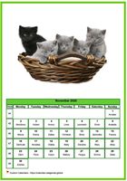 November 2020 calendar of serie 'cats'