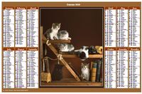 Annual 2020 calendar with cats