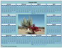 2020 cyan photo calendar