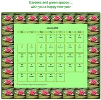 Calendar january 2020 water lily patterns