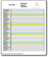Monthly 2020 diary for primary schools