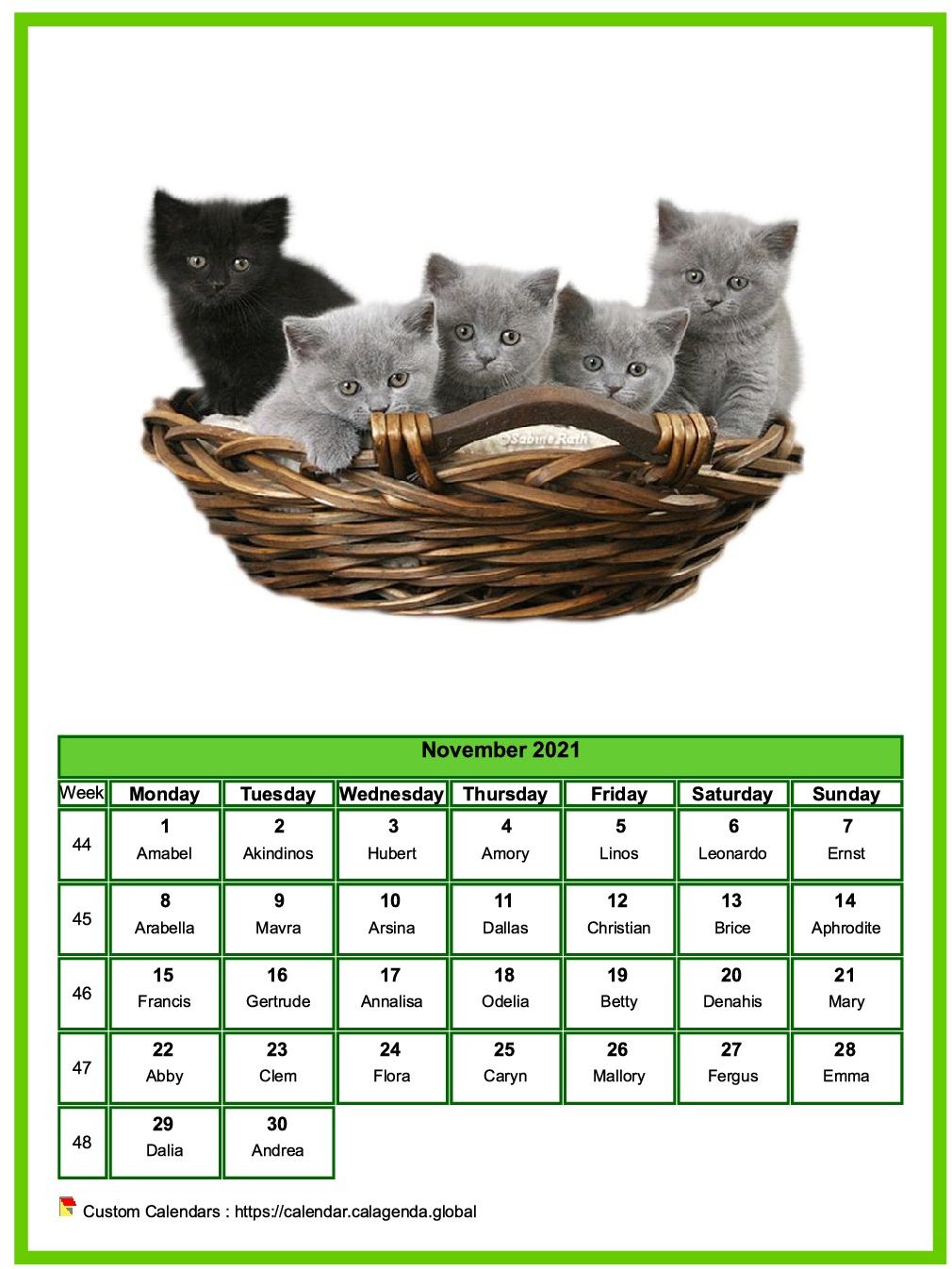 Calendar November 2021 cats