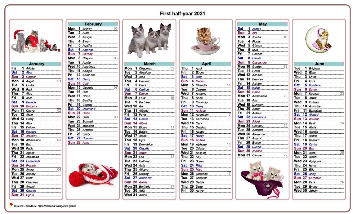 Calendar 2021 half-year cats