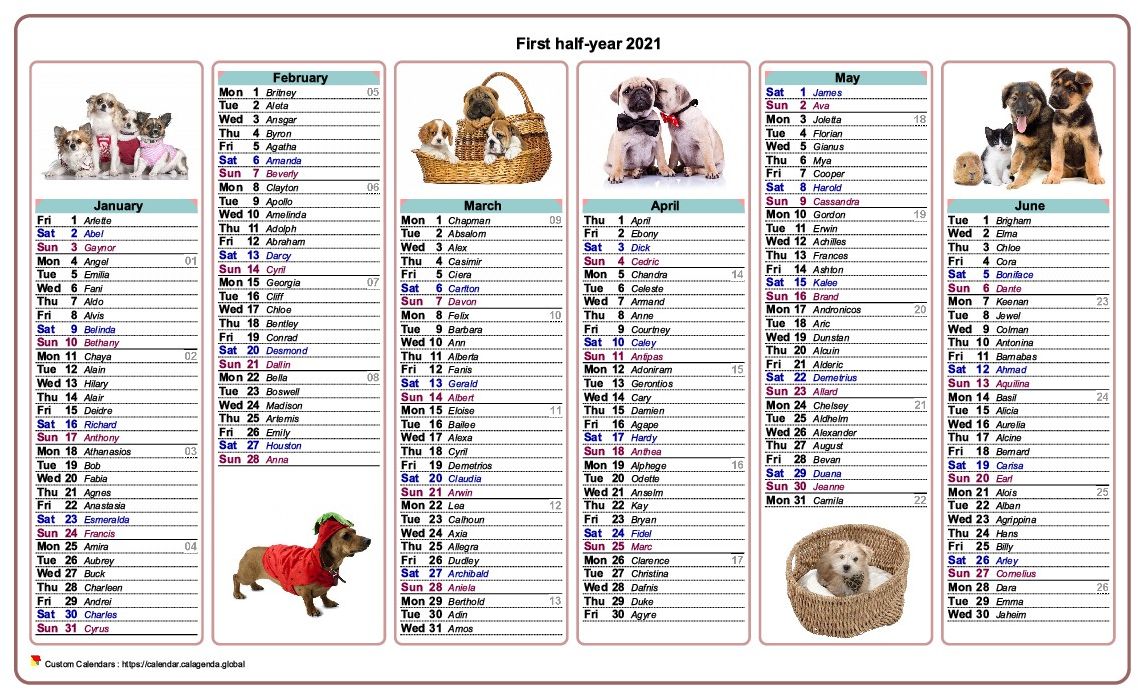 Calendar 2021 half-year dogs