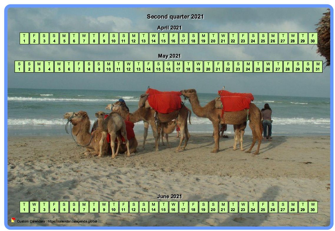 Calendar 2021 quarterly horizontal with a photo in calendar background