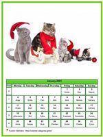 January 2021 calendar of serie 'Cats'