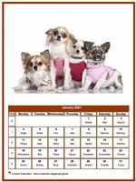 January 2021 calendar of serie 'dogs'