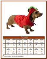 February 2021 calendar of serie 'dogs'