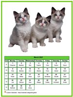March 2021 calendar of serie 'cats'