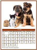 June 2021 calendar of serie 'dogs'