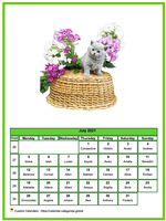 July 2021 calendar of serie 'cats'