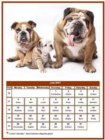 July 2021 calendar of serie 'dogs'