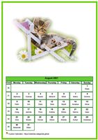 August 2021 calendar of serie 'cats'