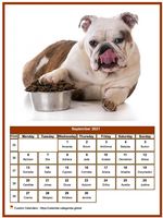 September 2021 calendar of serie 'dogs'