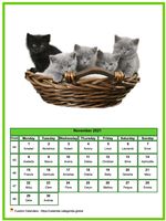 November 2021 calendar of serie 'cats'