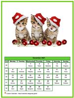December 2021 calendar of serie 'cats'