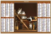 Annual 2021 calendar with cats