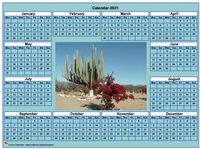 2021 cyan photo calendar