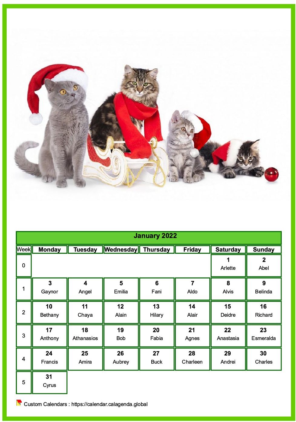Calendar January 2022 cats