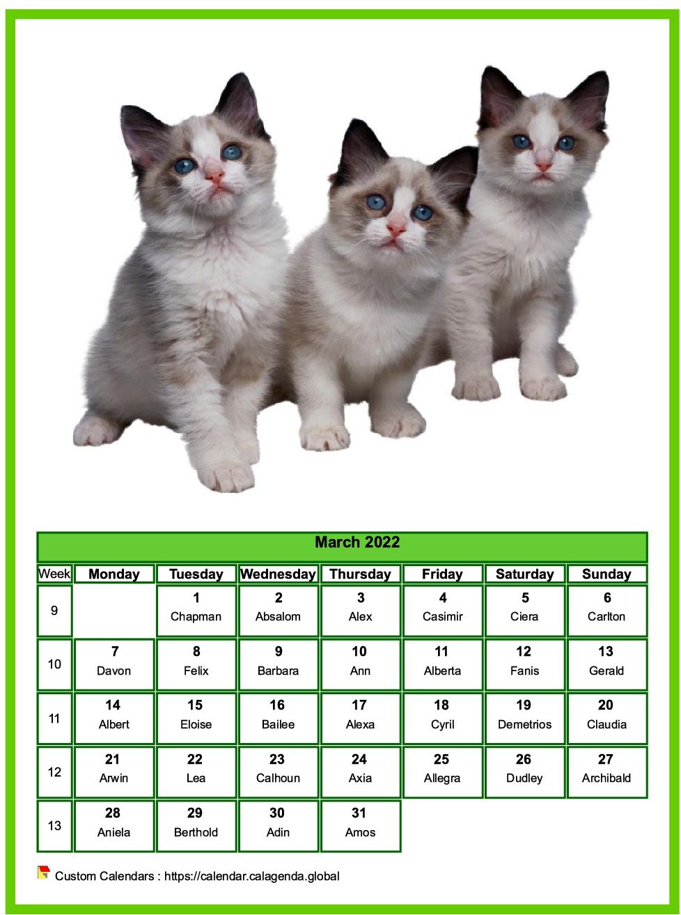 Calendar March 2022 cats