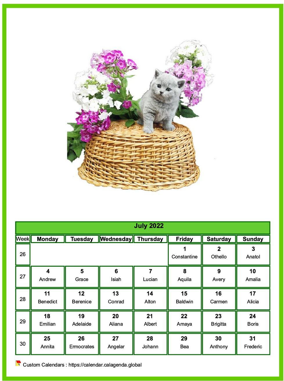 Calendar July 2022 cats
