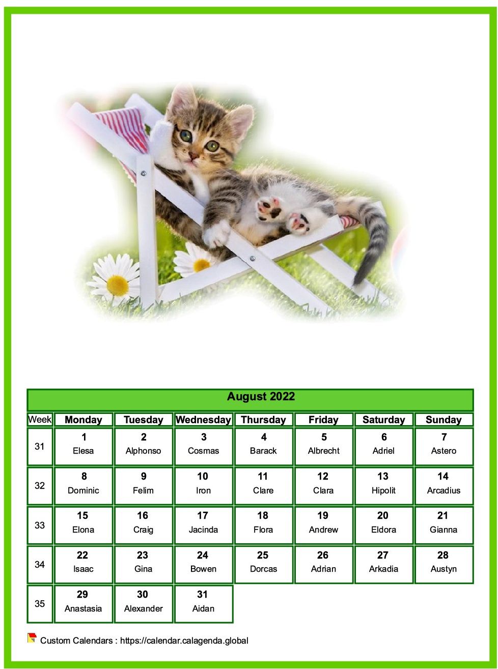 Calendar august 2022 cats