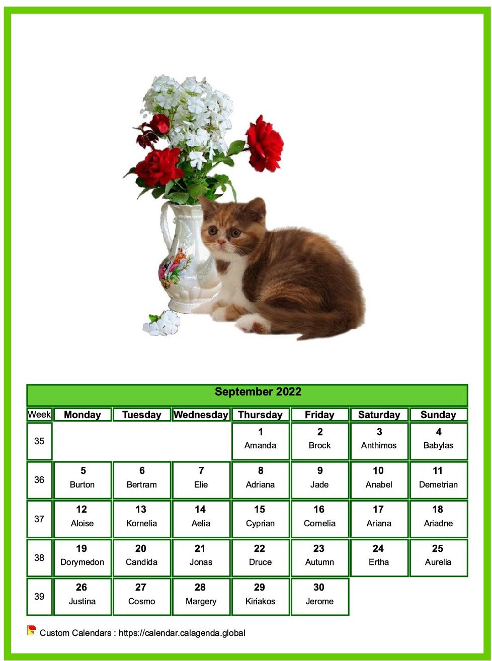 Calendar September 2022 cats