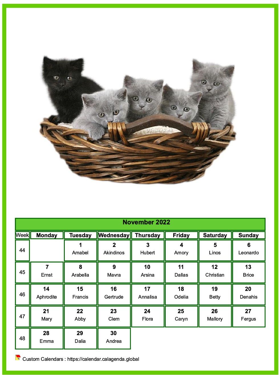 Calendar november 2022 cats