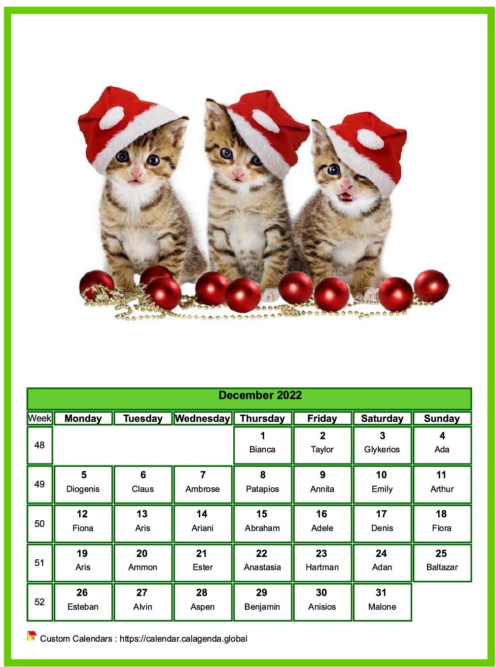 Calendar december 2022 cats