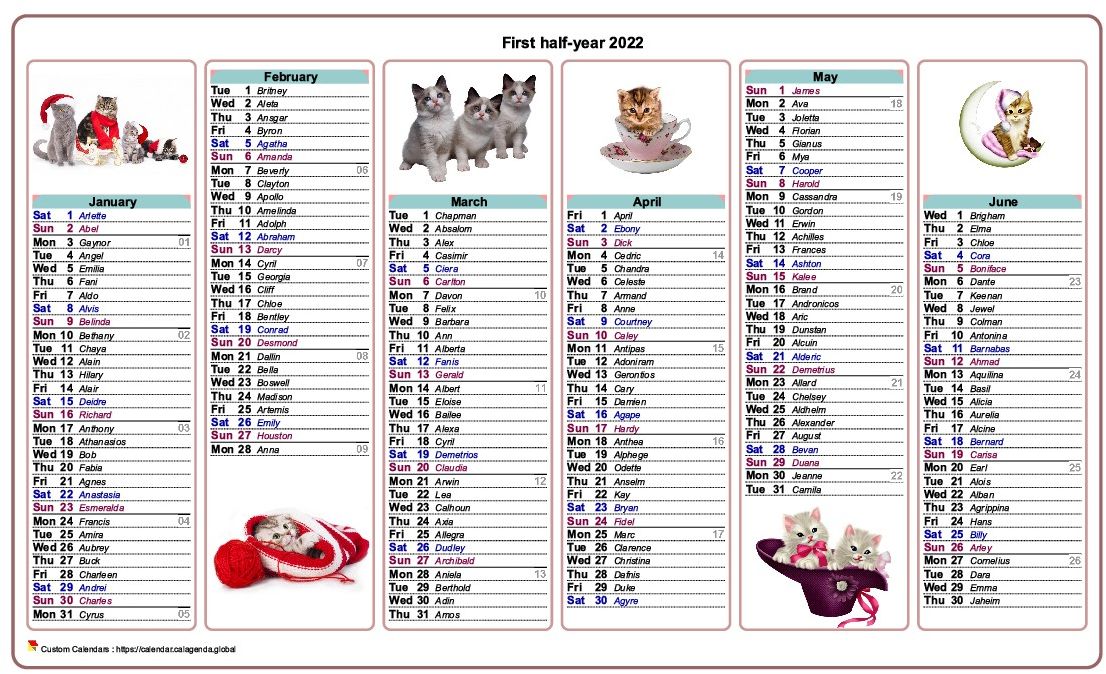 Calendar 2022 half-year cats