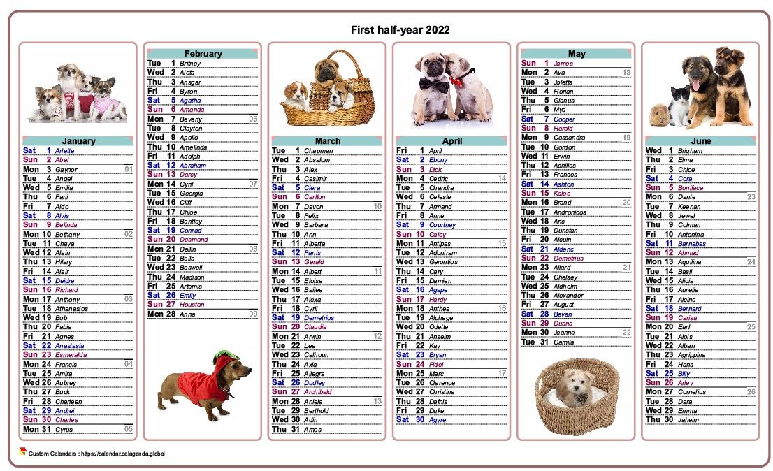 Calendar 2022 half-year dogs