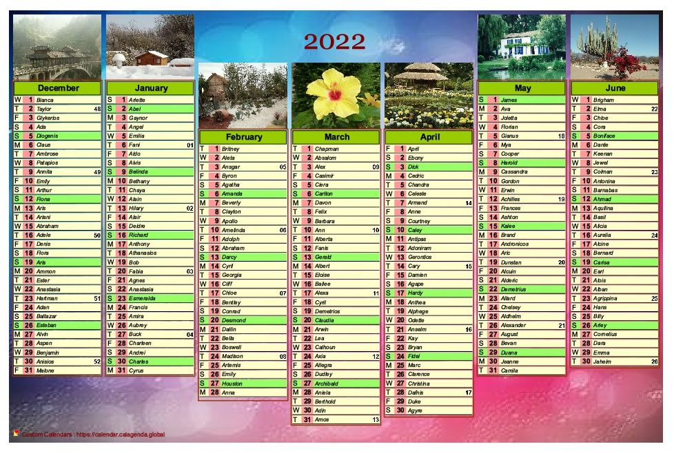 Calendar 2022 of seven months with photos