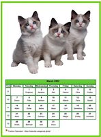March 2022 calendar of serie 'Cats'