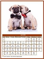 Monthly calendar of serie 'Dogs'