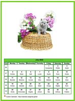 July 2022 calendar of serie 'Cats'