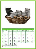 November 2022 calendar of serie 'Cats'